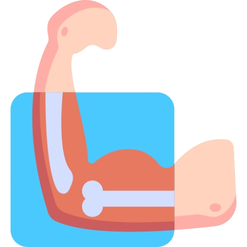 Bệnh Cơ Xương Khớp